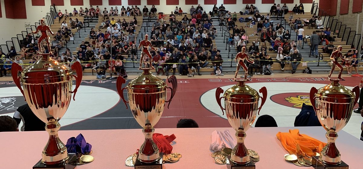 FZSwrestling on X: Wrestling portion of the trophy case in the commons got  a makeover as we kick off the school year with our recent tournament  trophies & GAC titles. District trophies